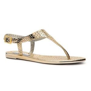 STEVE MADDEN Grover Jelly Sandals in Gold